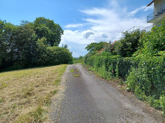 Einmalige Aussicht über den Bodensee – Zahlreiche Wanderwege