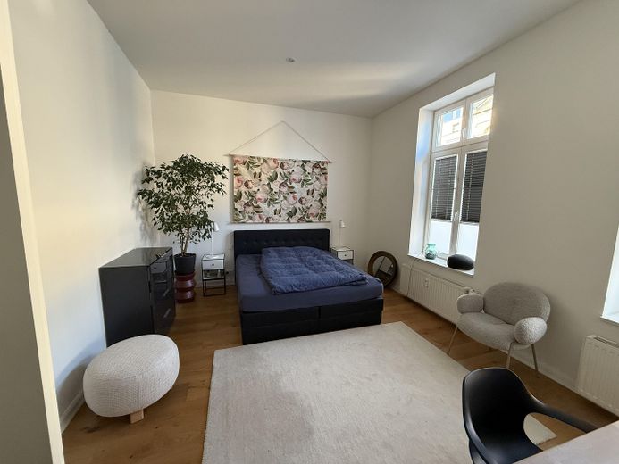 Licht, Wasser, Altbau – Traumwohnung in Schwerins Bestlage am Pfaffenteich – Foto 12