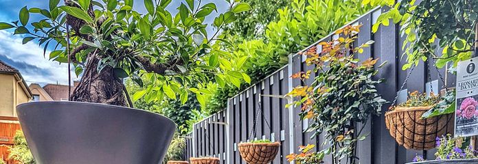 Provisionsfreie Maisonette- Wohnung mit Garten mitten in Hanau – Garten