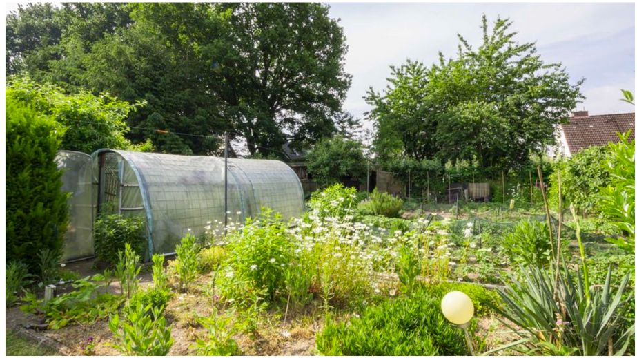 Mehrfamilienhaus in Itzehoe kaufen – 3 Wohnungen + Gewerbe, voll vermietet – Garten