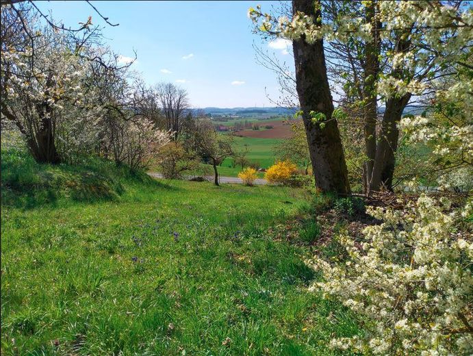 Idyllisch Wohnen - freier Blick ins Grüne und viel Raum für Gestaltung und Freizeit – Gartenausblick Richtung Süd