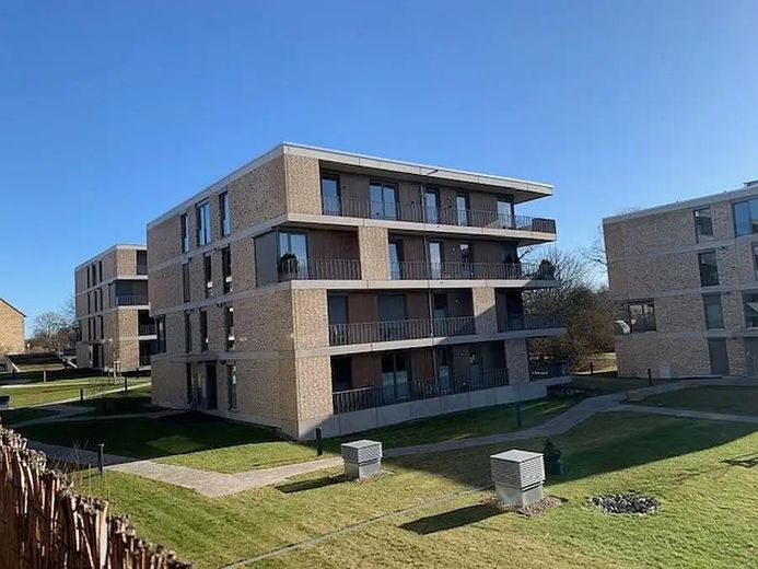 Luxuriös wohnen am Schloss Wolfsburg | Absolute Rarität in Bestlage – Foto 16