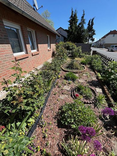 Bevor das Blühen beginnt