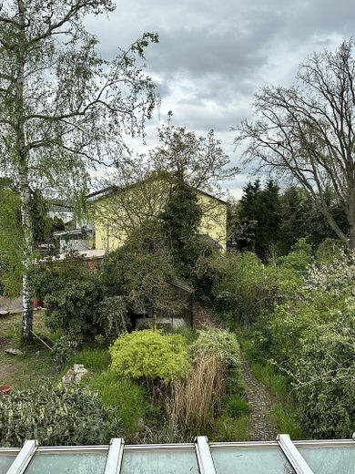 Blick in den Garten