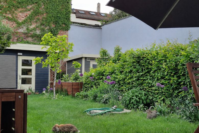 Modernes, familienfreundliches Stadthaus in Altlindenau inkl. Tiefgarage - von privat – Garten