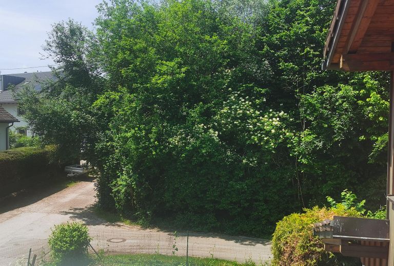 Blick vom Balkon