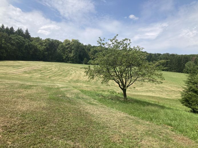 Wochenendgrundstück – Blick aufs Grundstück