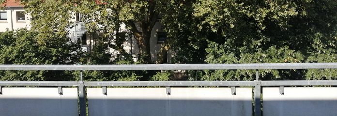 Schöne Wohnung im Kaiserstraßenviertel – Blick von der Dachterrasse