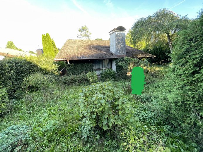 Garten / Westseite