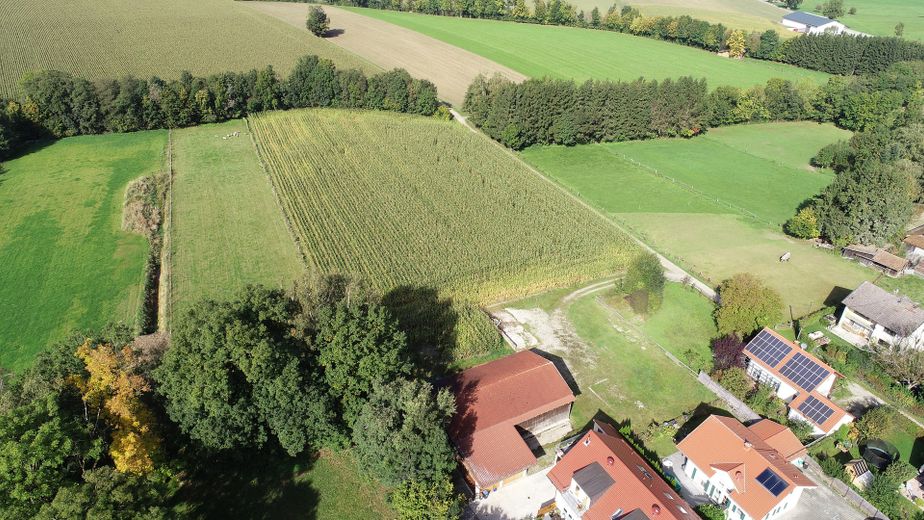 Halle + Freifläche