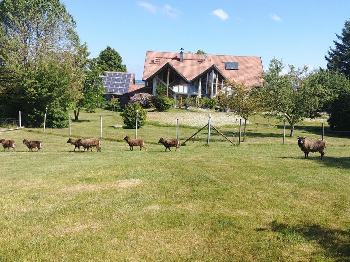 Das besondere Haus, mit sehr großem Grundstück, in einer Region wo andere Urlaub machen – Südseite 1