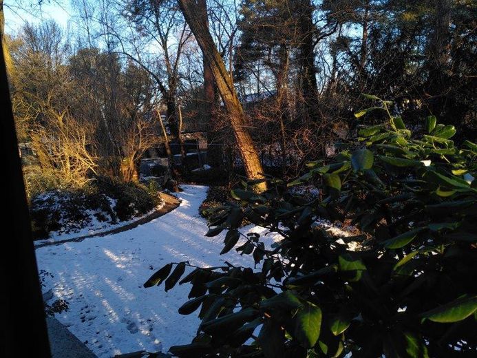 Teilstück des hinteren Gartens