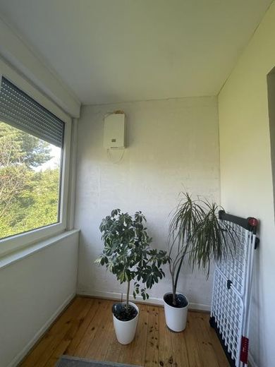 Sehr schöne 3-Zimmerwohnung mit Balkon in Eller! Bad mit Tageslichtfenster –  Schlafzimmer