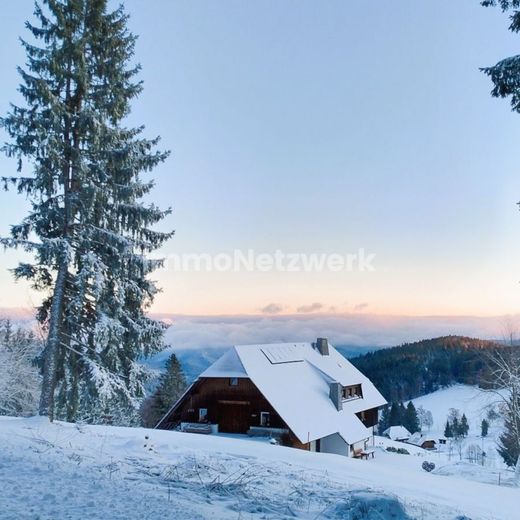 Ihr Rückzugsort im Schwarzwald - Charmante Ferien-Wohnung in Schonach – Lust auf Schwarzwald