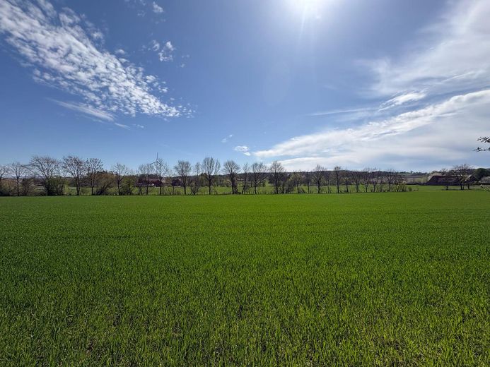 Freies Feld hinter dem Haus