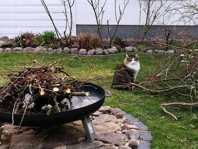 Feuerstelle Ansicht 2