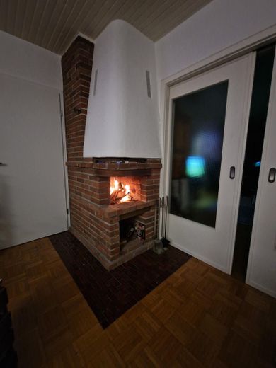 offener Kamin Wohnzimmer 1. OG