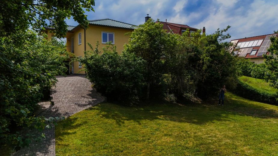 Blick aus dem Garten