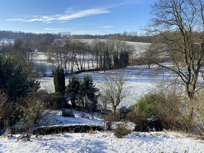Winter