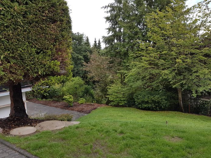 Garten 2