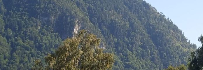Rendite von 3,47 %: 3-Zi.-Traum in Grassau: Modernes Bad & Südbalkon mit Bergpanorama