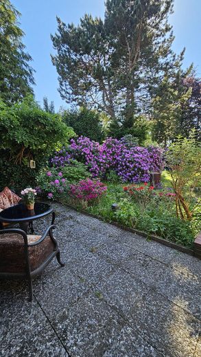 Blick in den Garten