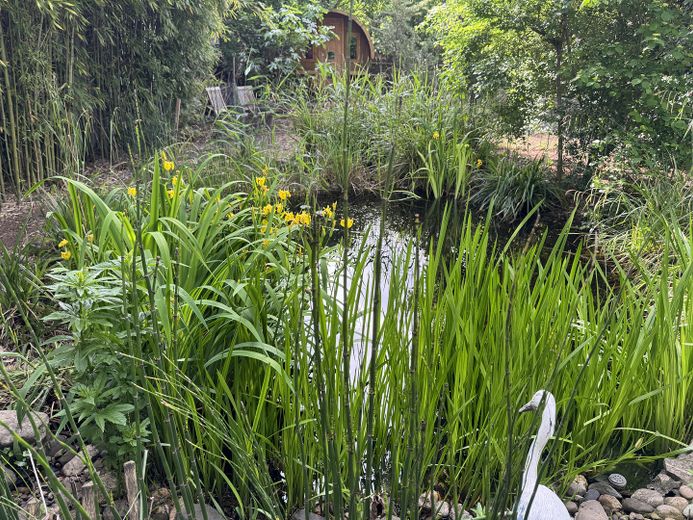Ehrenfeld-Bickendorf: Wunderschönes Landhaus mit Hof und großem Garten, ökologisch saniert – Teich mit Sauna