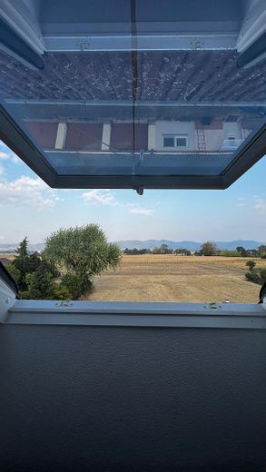 Lichte 2-kamerwoning 50 m² plus garage, inbouwkeuken en extra gebruiksoppervlakte – Blick von Zimmer 1