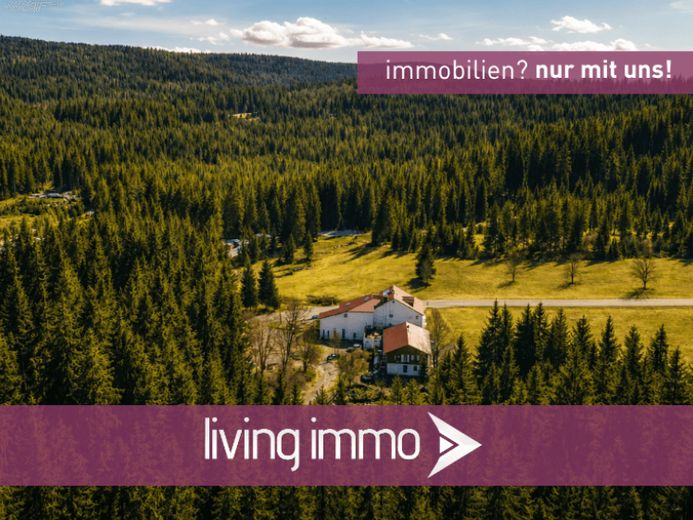 Ein Juwel im Bayerischen Wald - hochwertig kernsaniert und startklar! – Foto 1