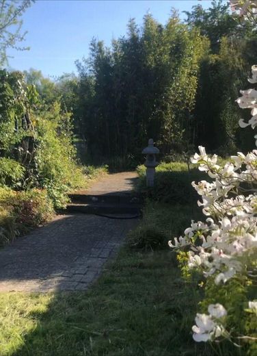 Landschaftsgartenausschnitt