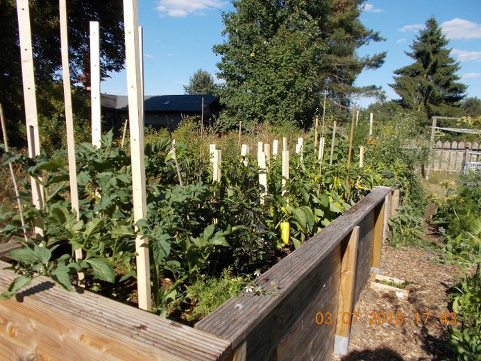 Casa forestale Metzelthin - abitare e lavorare nel Parco naturale dei laghi dell'Uckermark – Gemüsegarten