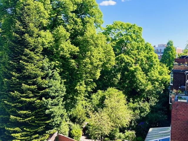 Balkon-Blick ins Grüne