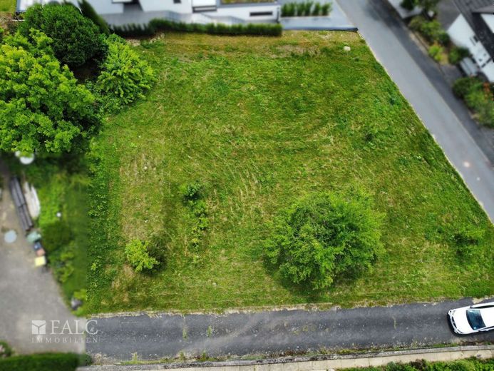 Ein Grundstück voller Chancen - Ihr Traumhaus wartet – Garten