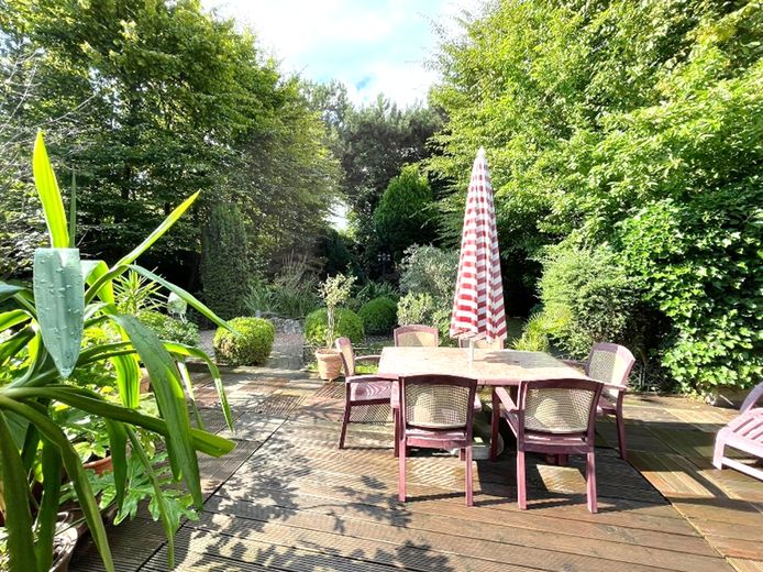 Drei Einheiten, ein außergewöhnliches Anwesen in sehr guter Lage – Wohnen, Arbeiten & Vermieten! – Terrasse