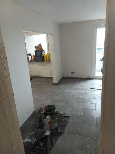Toller Balkonblick über den Main und Frankfurt  Komplettsanierung – Wohnzimmer und Küche
