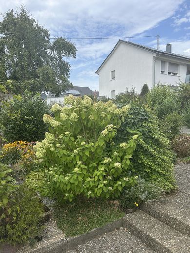 Raum für Familie – Charmantes Einfamilienhaus mit Terrasse und Vollkeller – Garten Nord