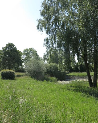 eines der letzten, erhaltenen SCHEUNENGUTSHÄUSER (mit 4-6 ha. Naturgrundstück) – Dorfteich / Grdst. re. Seite