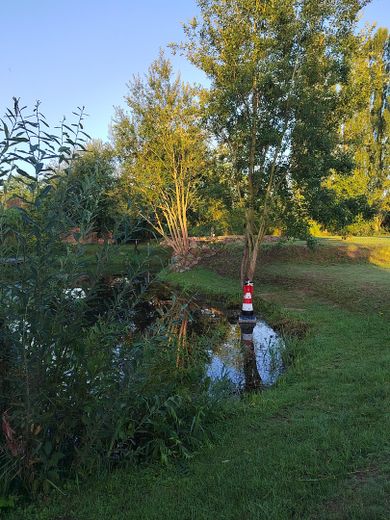 Kernsaniertes Bauerhaus unter Reet auf naturnahem Grundstück in Feldrandlage – Der Wegweiser