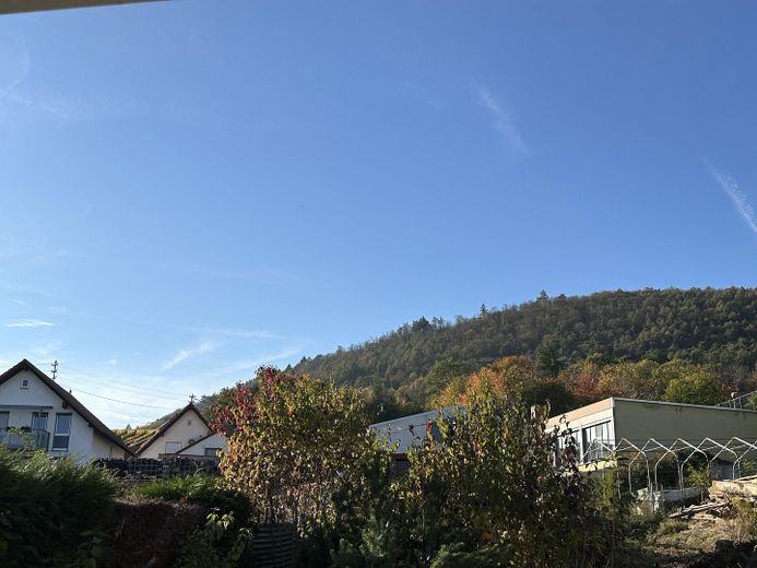 Großes Einfamilienhaus in Frankweiler - sanierungsbedürftig - genehmigtes Ausbaupotential – Blick Richtung Pfälzer Wald 