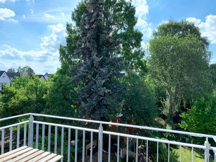 Wohnen auf Zeit: 1,5-Zimmer-Wohnung mit Südwest-Balkon in Hamburg-Marienthal – Balkon im Sommer