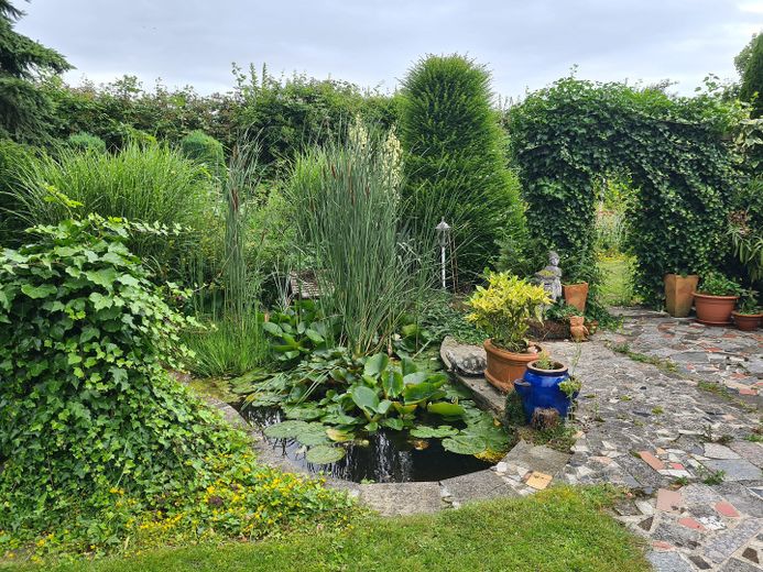 Kleiner Teich an der Terrasse