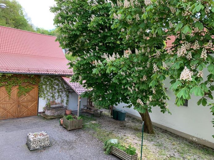 Pensión de 19 habitaciones, posada, cervecería al aire libre y vivienda del operador, conversión de «uso comercial a residencial» – Foto 24