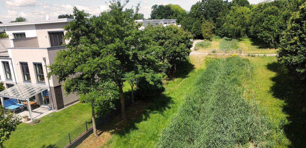 Oberneuland: Like-new end-of-terrace house with green views, roof terrace – commission-free – Haus, Allee und Grünraum