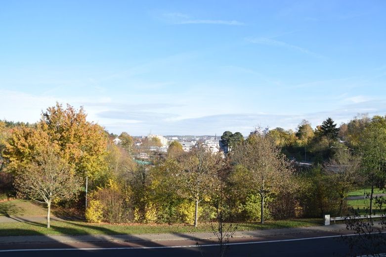 2 Zimmer-Apartment mit TG Stellplatz in Kaiserslautern Unigebiet zu verkaufen – Ausblick vom Balkon