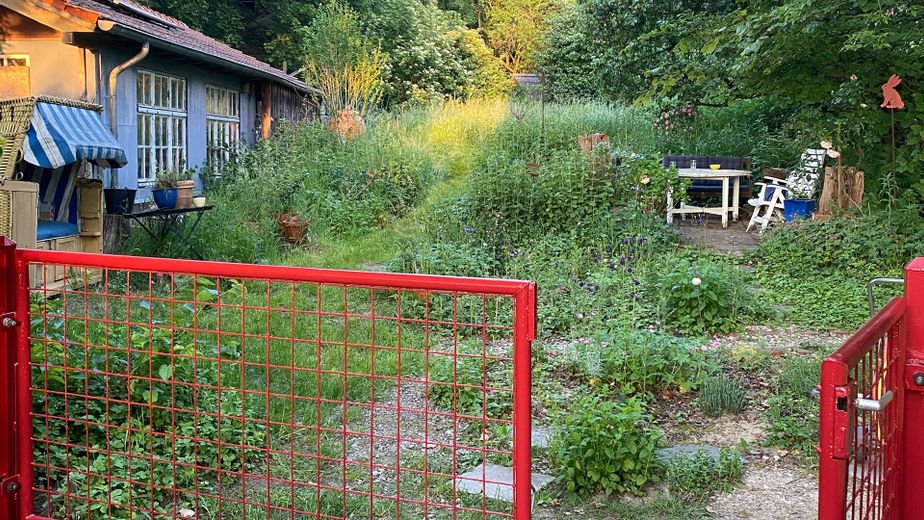 Ökologisch saniertes Energiesparhaus mit Charme - Privatverkauf – Foto 13