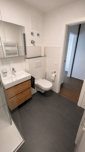 Frisch renovierte 2-Zimmer-Wohnung mit Südostbalkon & Einbauküche – Badezimmer