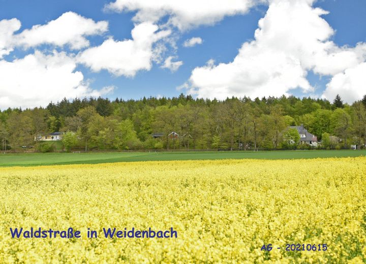 Waldstraße in 56355 Weidenbach