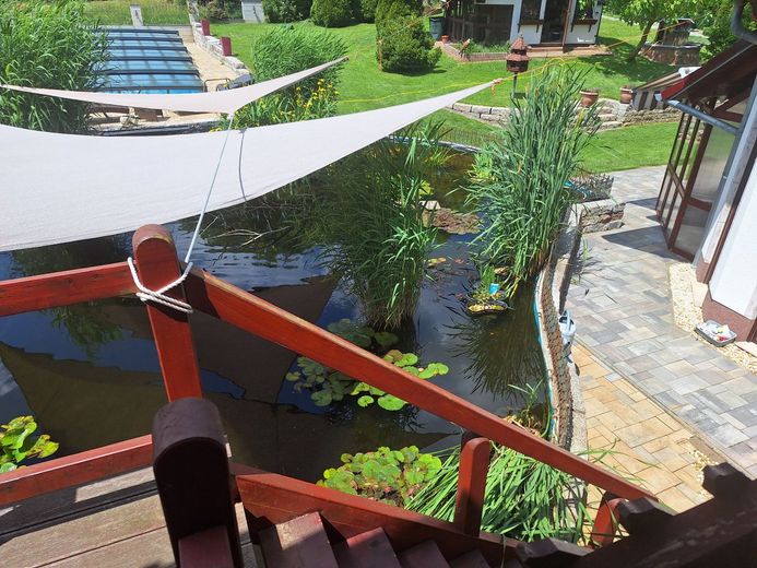 Attraktives Einfamilienhaus  mit Pool, Gartenteich und Photovoltaik in ruhiger Lage – 20240608_125243