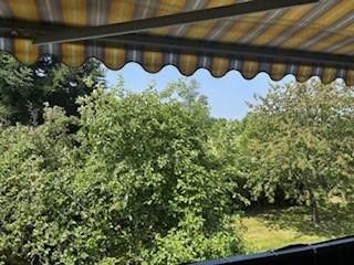 Blick ins Grüne