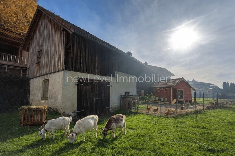 Platz für Visionen! Historisches Bauernhaus mit Scheune - Dein Projekt im Grünen! – Platz für Ihre Tiere (KI visualisiert)